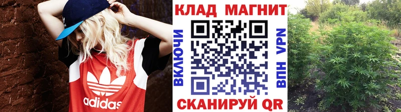 Купить наркотики цена Ершов ГЕРОИН  Меф  Галлюциногенные грибы  Кодеин  Бошки Шишки  ГАШ  Кокаин  Амфетамин 